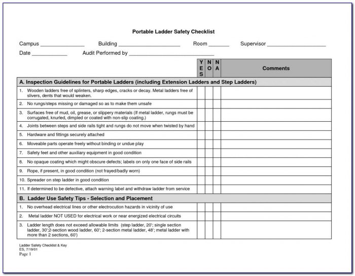 Aed Monthly Inspection Form Form Resume Examples VX5Jj0L5jv