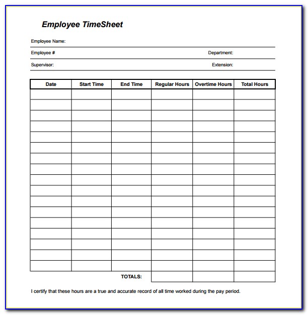 Daily Timesheet Format