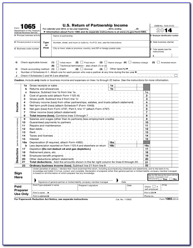 Irs Form 1065 Instructions 2014