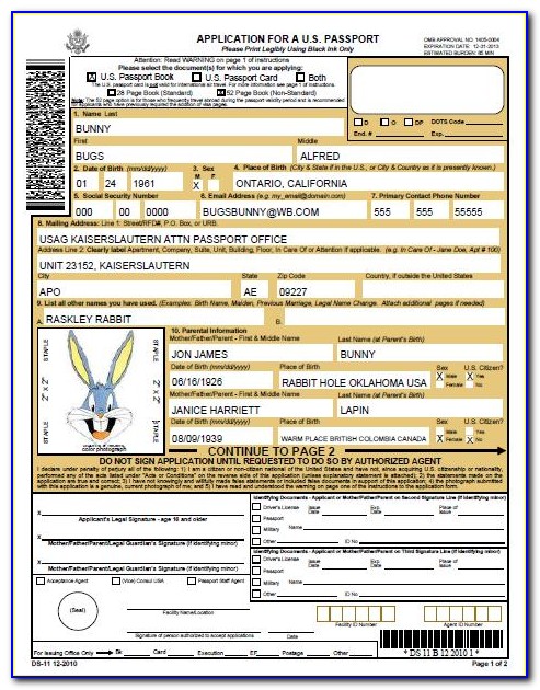 United States Passport Renewal Form For Minors