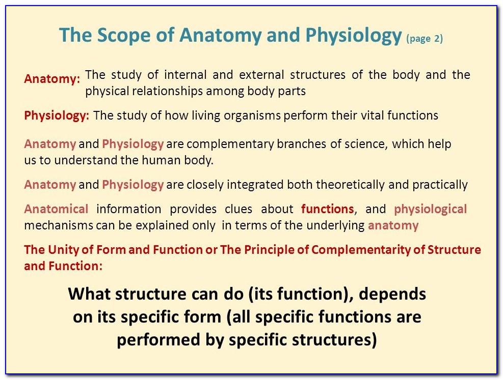 Anatomy And Physiology The Unity Of Form And Function 6th Edition Pdf Download