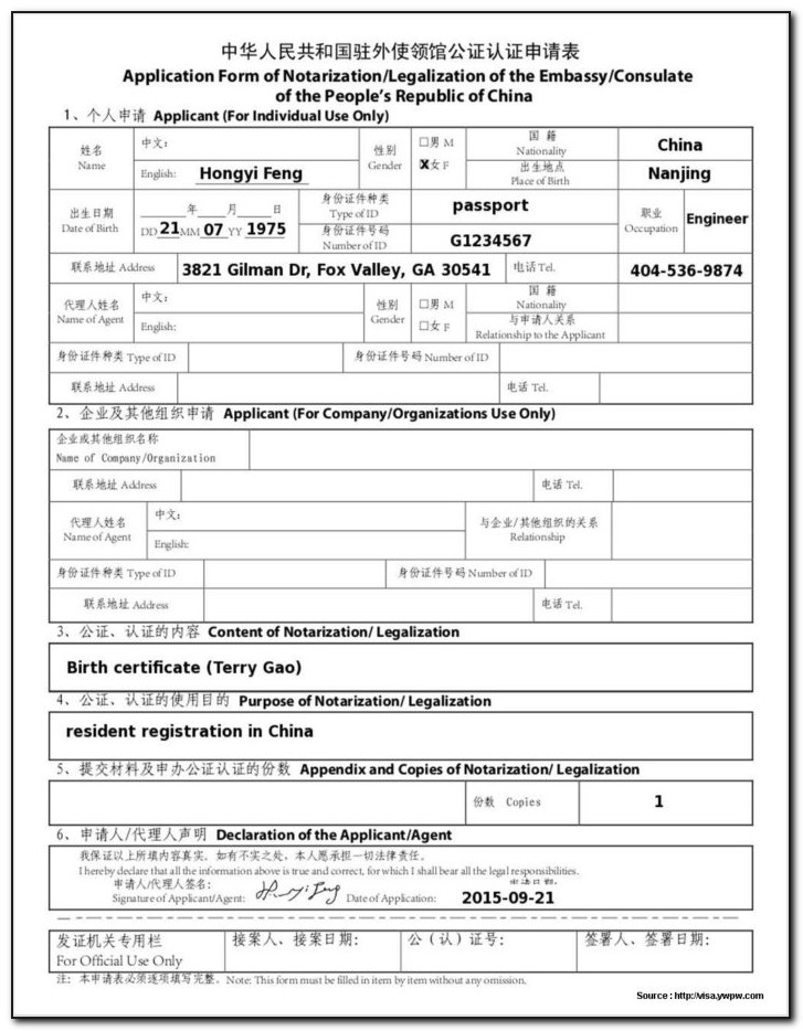 China Z Visa Application Form Download