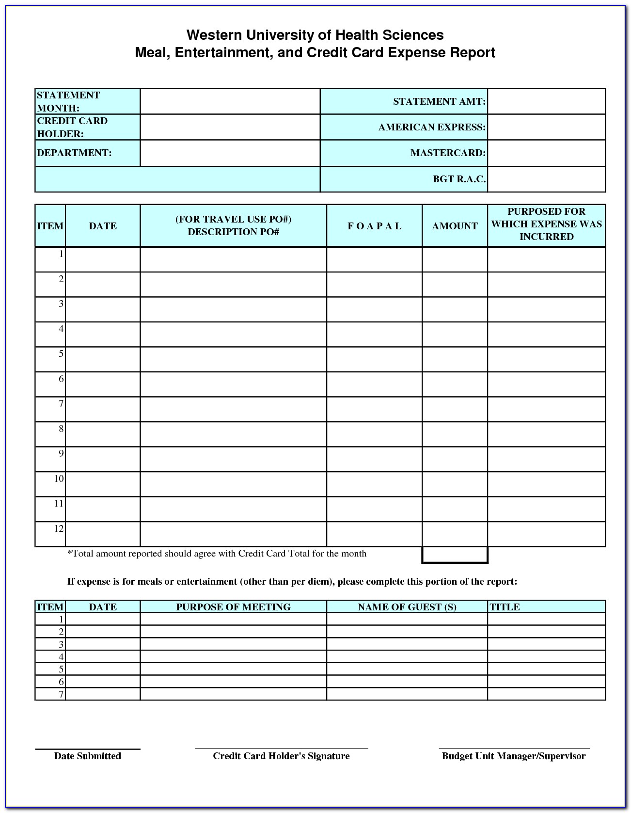 Credit Card Expense Report Form