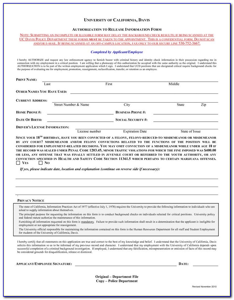Employee Background Verification Form Template