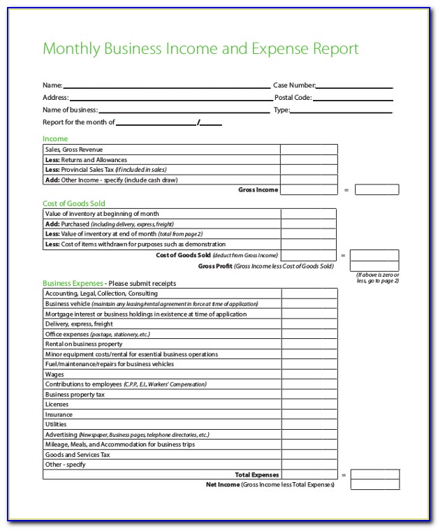 Income And Expense Report Form Free Download