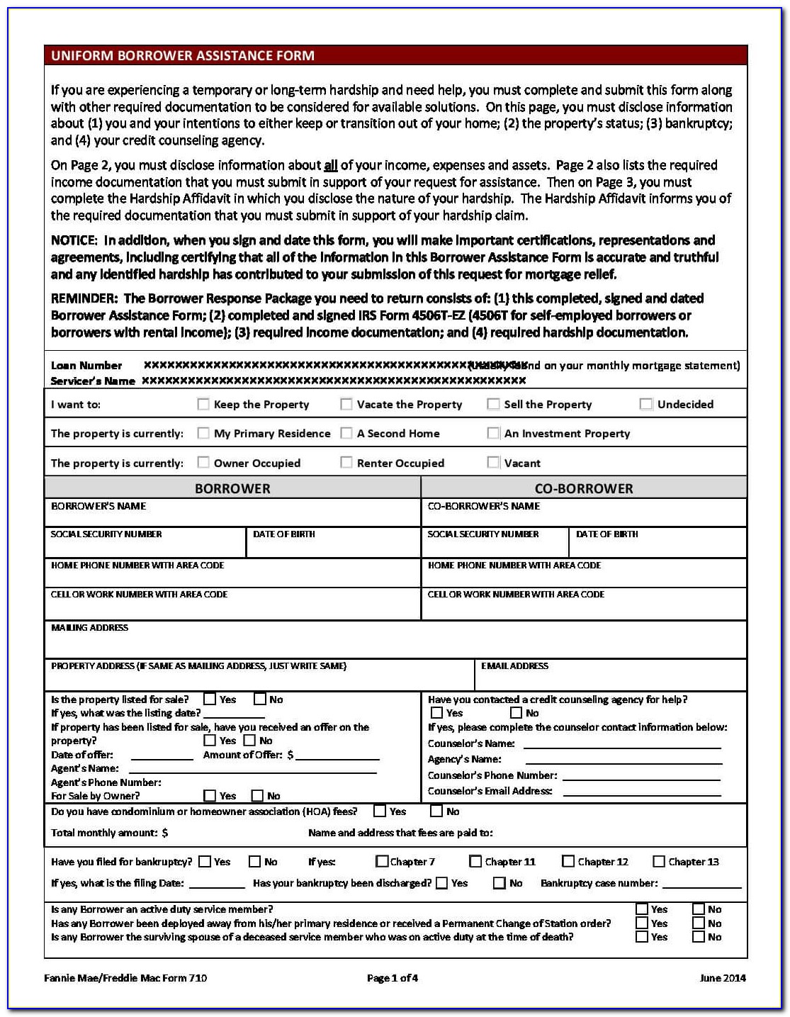 Loan Modification Form Filling Project