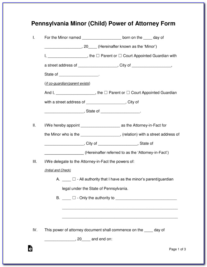 Power Of Attorney Form For Temporary Guardianship