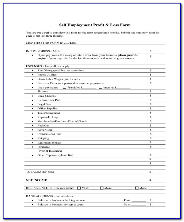 Profit And Loss Template For Self Employed