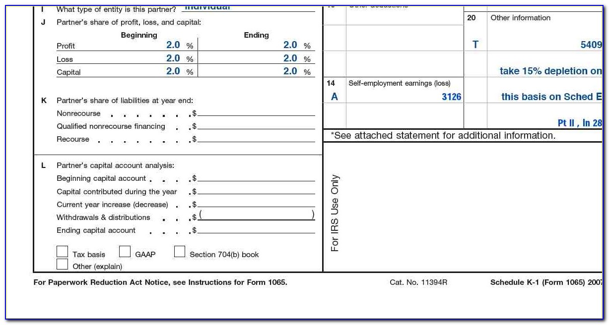Schedule K 1 Form 1065 Instructions 2013