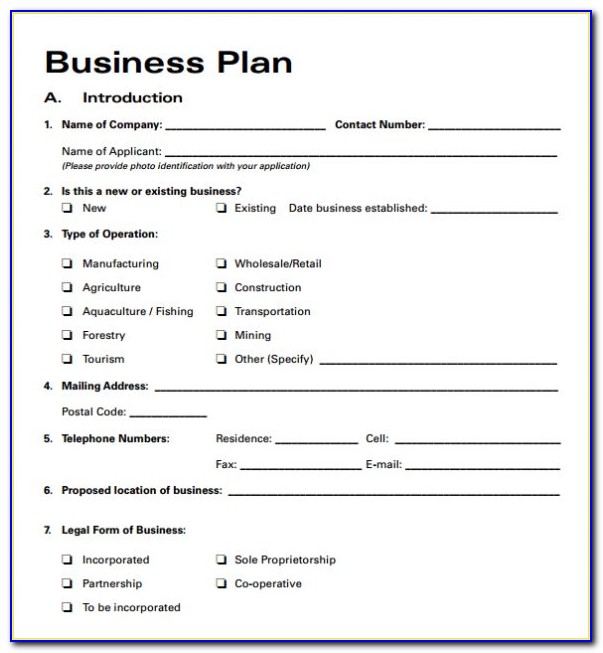 Short Form Business Plan Example