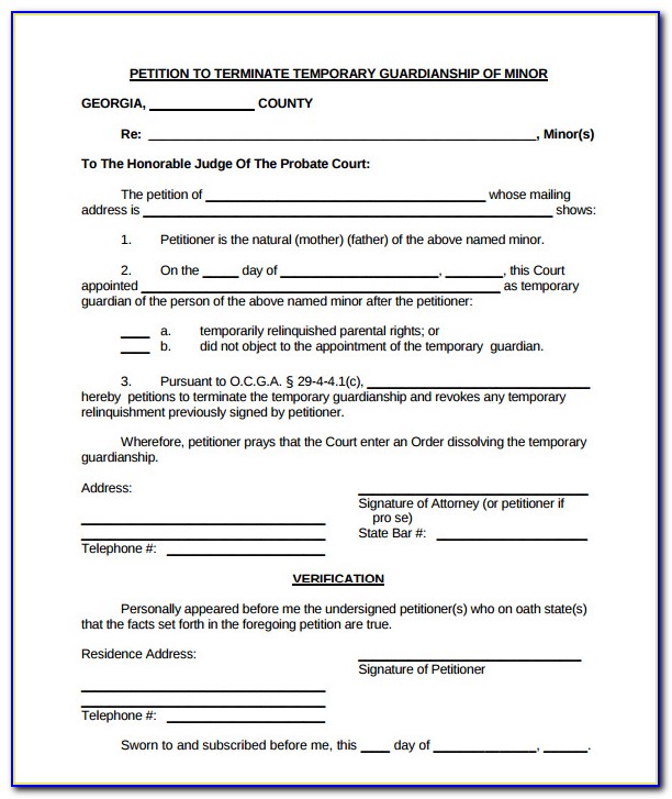 Temporary Guardianship For Care Of Minor Form