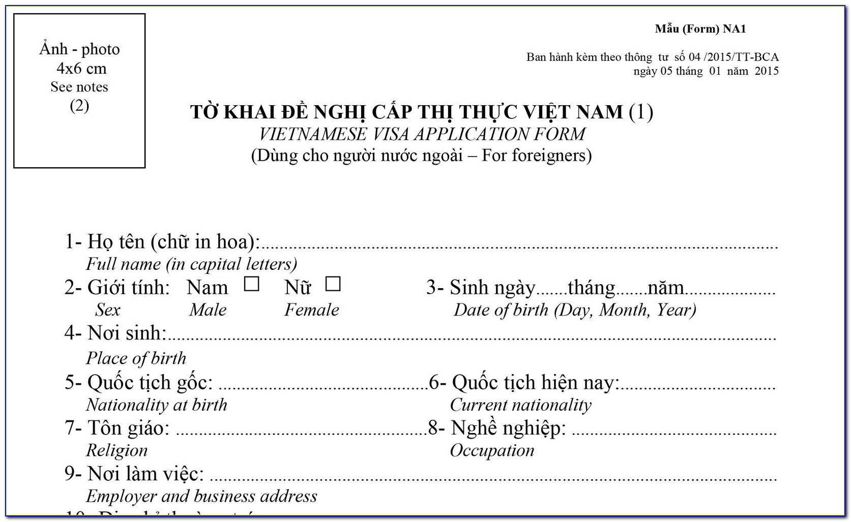 Vietnamese Visa Application Form Example