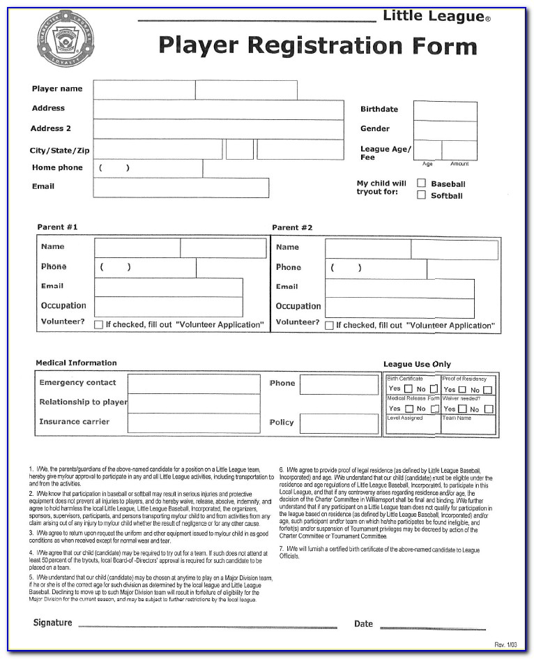 Baseball Player Registration Form Template