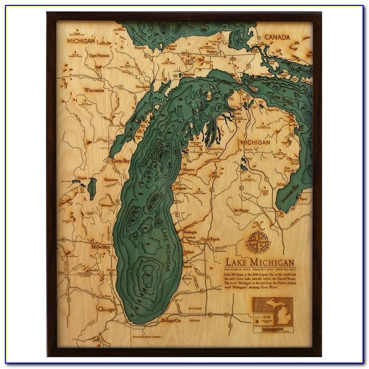 Coldwater Lake Michigan Topographic Map