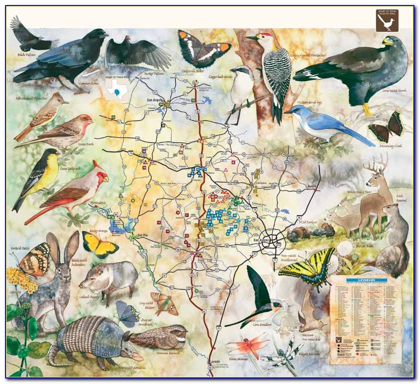 Great Texas Birding Trail Map