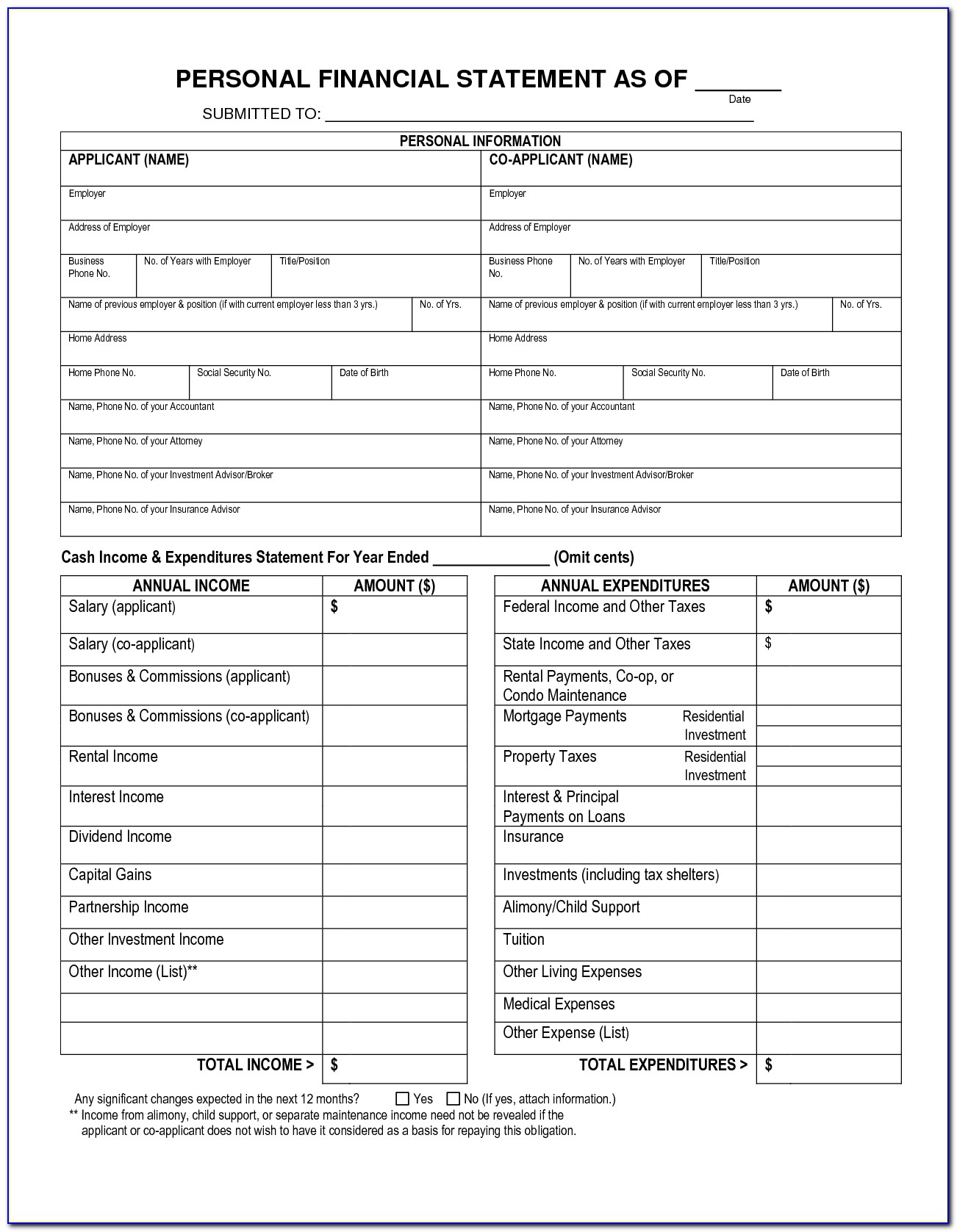 Joint Personal Financial Statement Blank Form