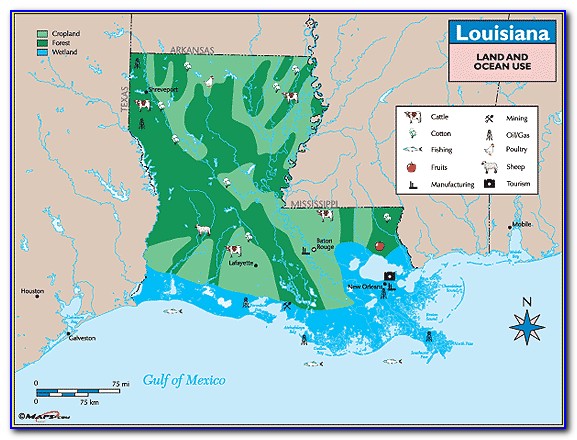 Louisiana Property Ownership Maps