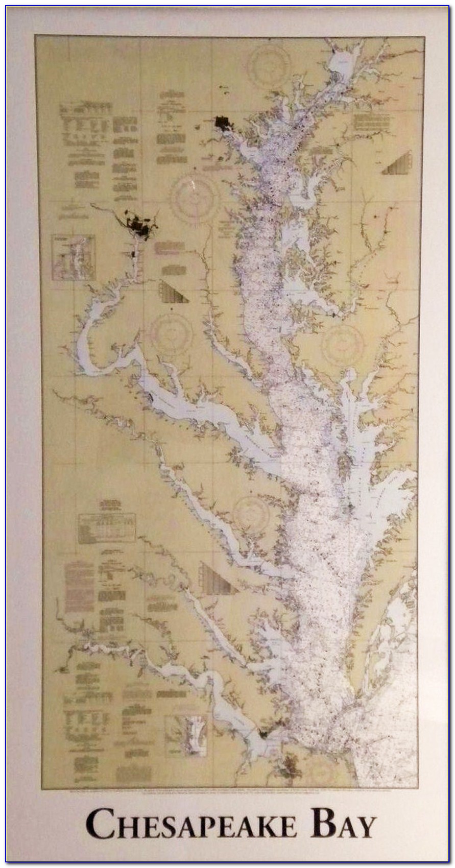 Marine Map Of Chesapeake Bay