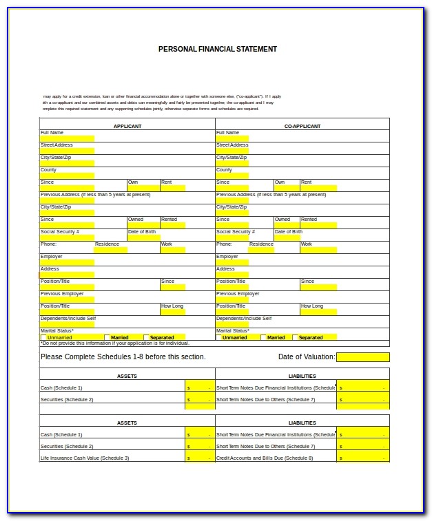 Sample Blank Personal Financial Statement Form