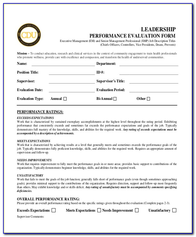 Senior Management Performance Appraisal Form