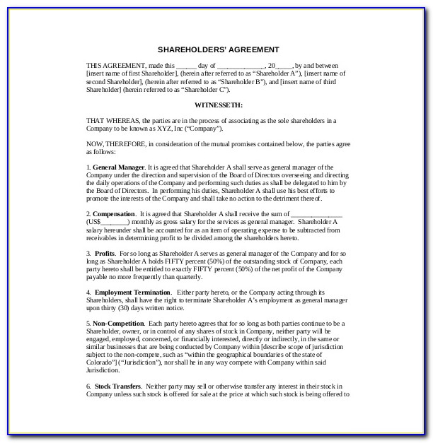 Shareholders Agreement Format