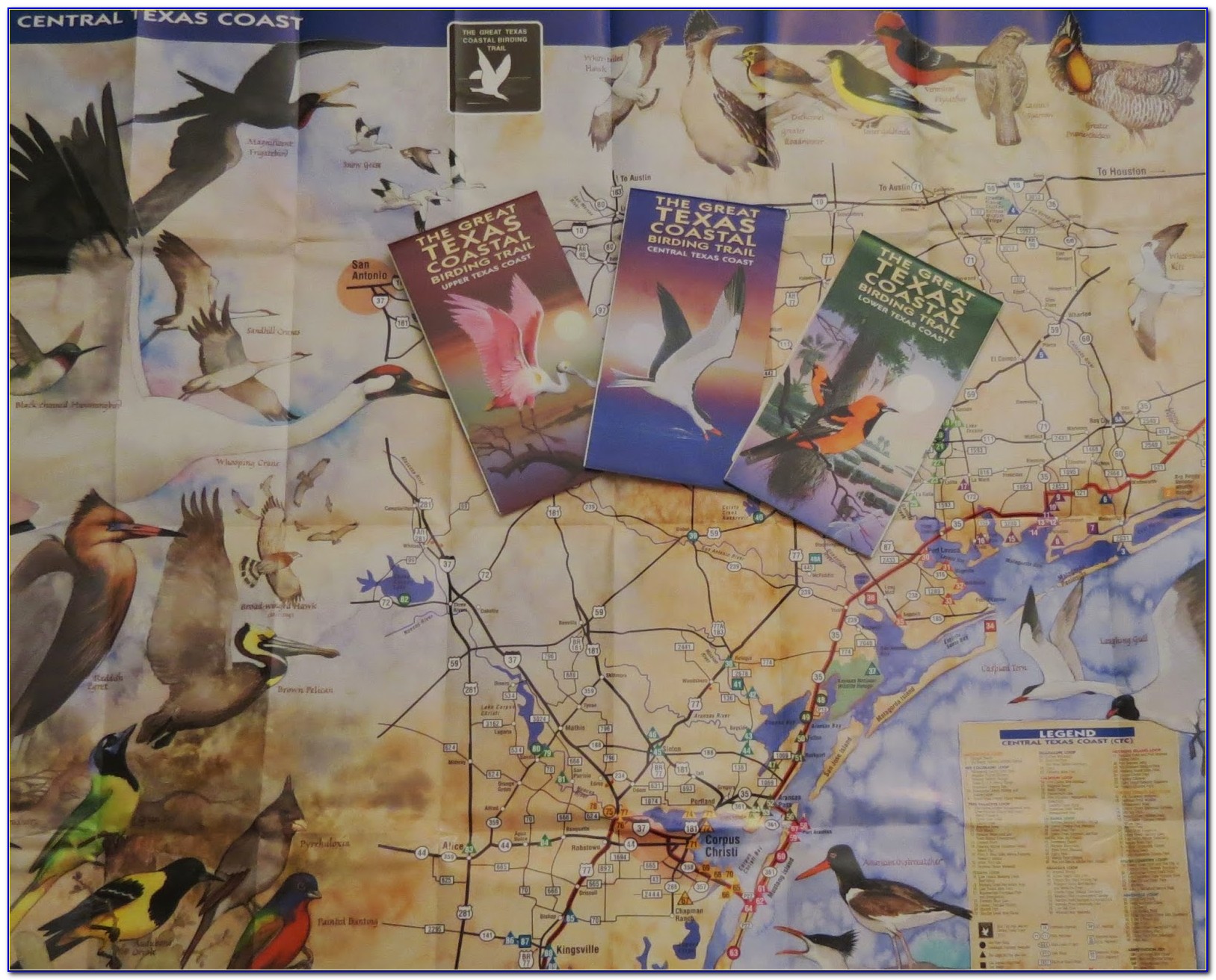 Texas Birding Trail Maps