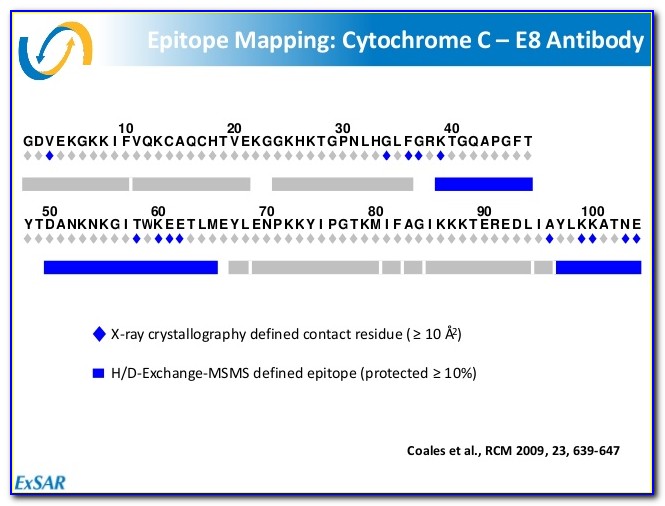 Antibody Epitope Mapping Protocol