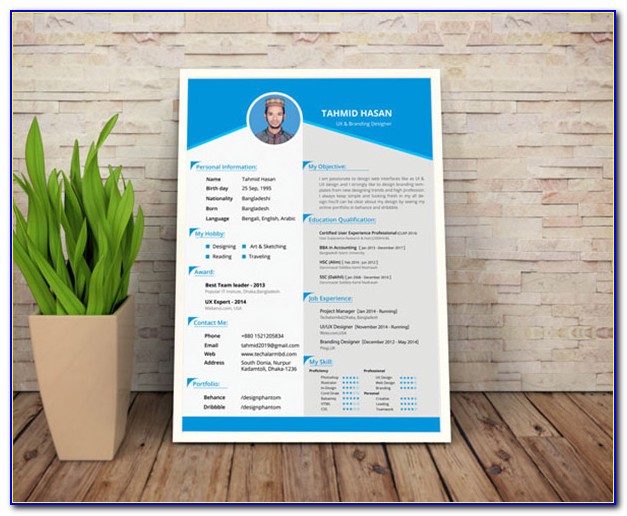 Attractive Resume Templates Free Download Doc