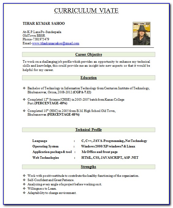 Best Resume Format Download For Experienced