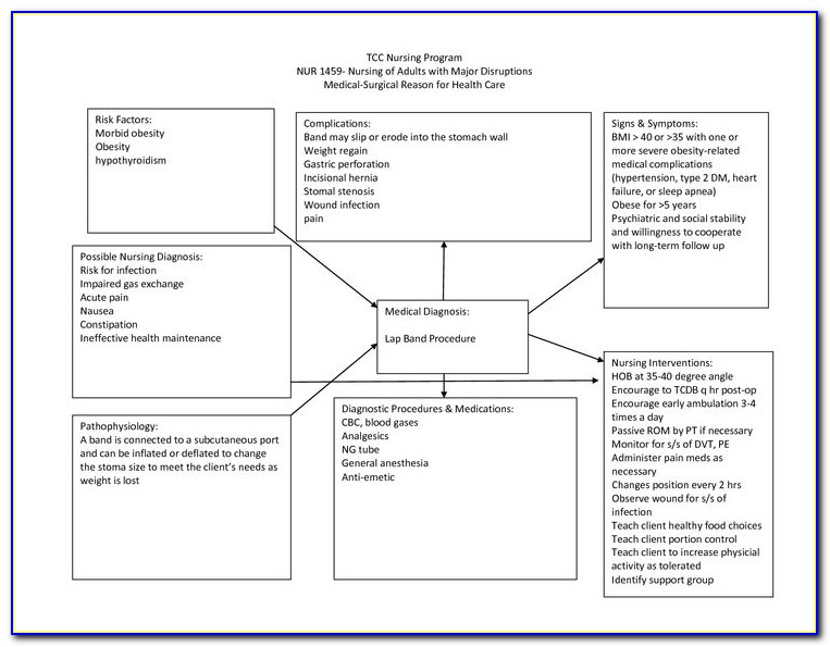 Concept Mapping A Critical Thinking Approach To Care Planning By Schuster