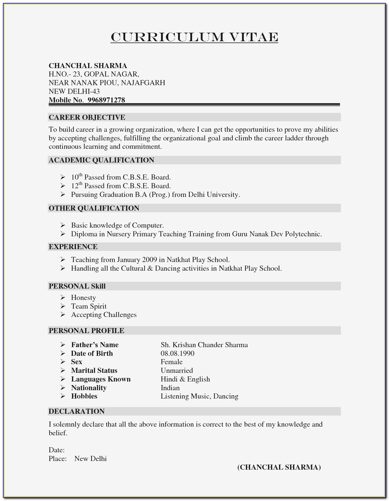 Resume Portfolio Folder