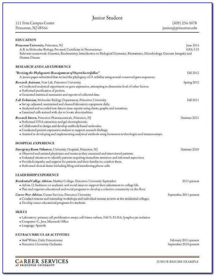 Examples Of Simple Resumes For Jobs