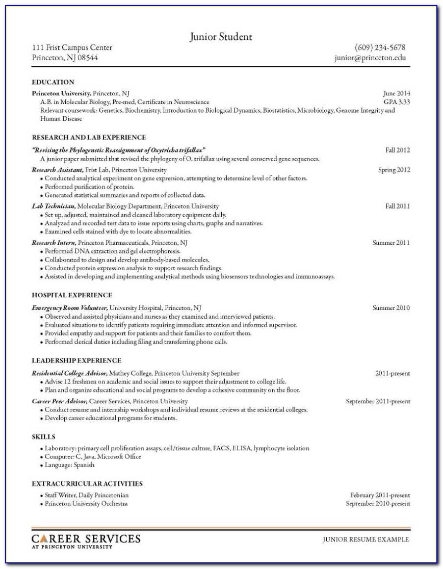 Examples Of Simple Resumes For Jobs
