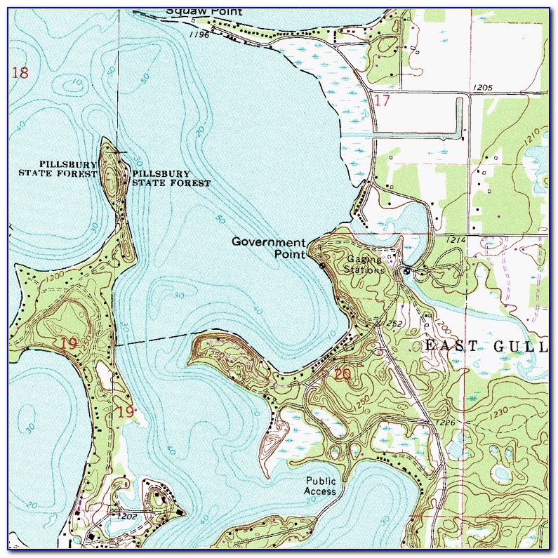 Gull Lake Topographic Map