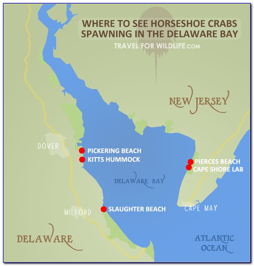 Map Of Shipwrecks In Delaware Bay