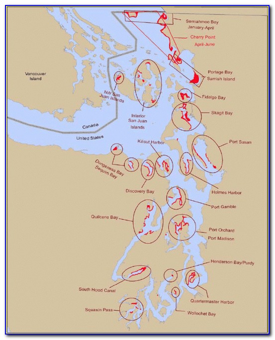 Marine Area 9 Puget Sound Map