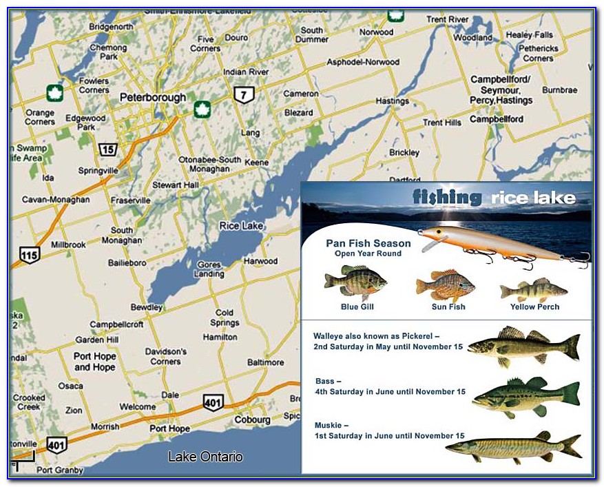 Mnr Fishing Maps Ontario