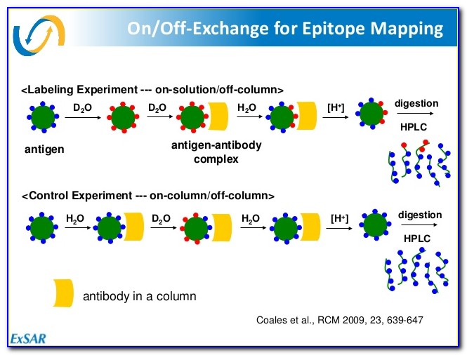 Monoclonal Antibody Epitope Mapping