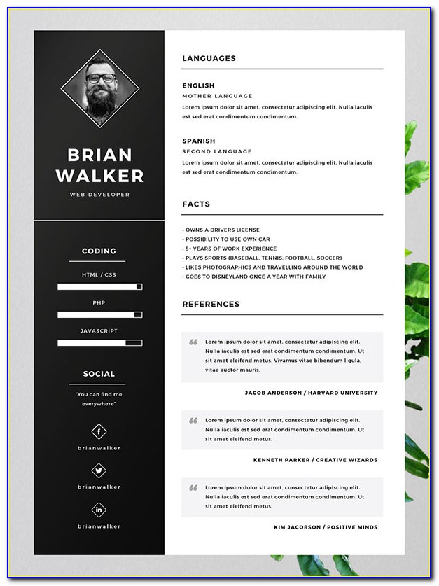 Resume Template Free Word Doc