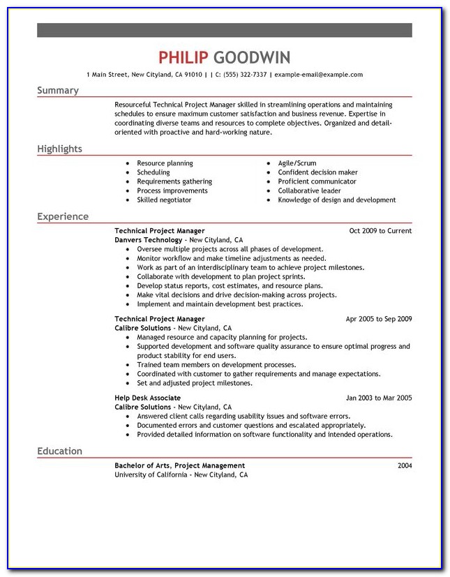 Examples Of A Project Manager Resume
