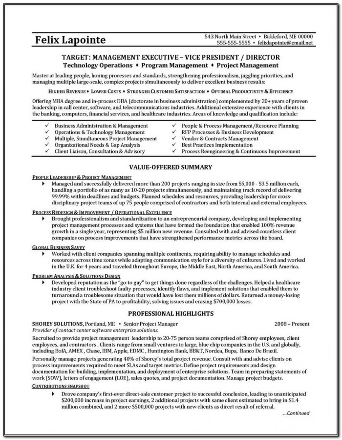 Examples Of Professionally Written Resumes
