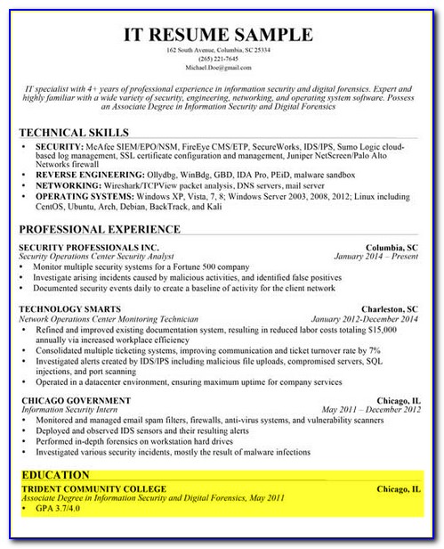 How To Write A Professional Summary On A Resume Examples