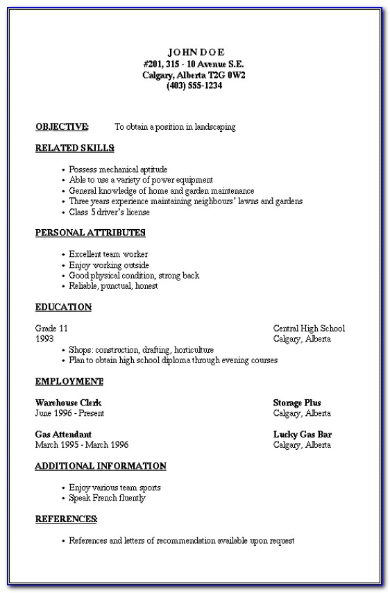 Outlines For Resumes Examples