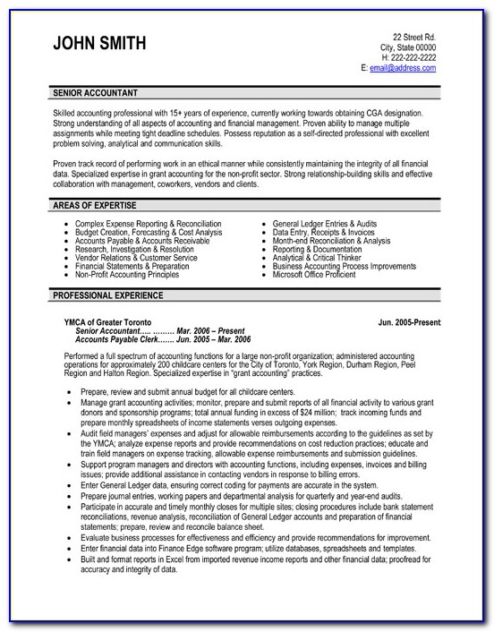Professional Cv For Accountant