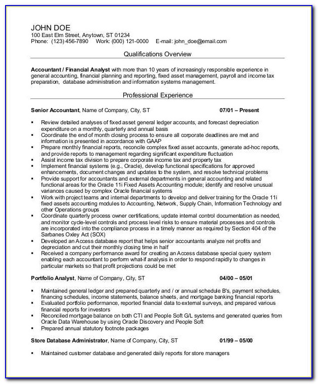 Professional Resume Format For Accountant In India