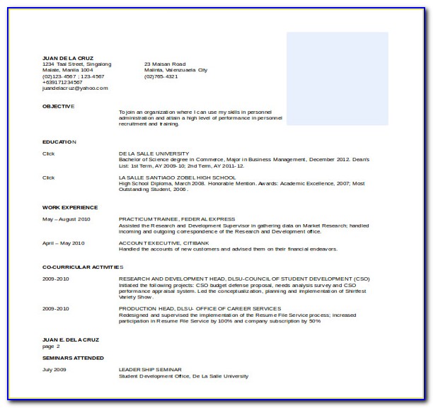 Professional Resume Format For Senior Management Position