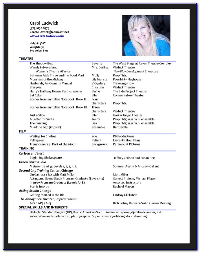 Professional Resume Templates 2015 Free Download