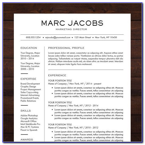 Professional Resumes Templates For Download