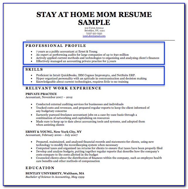Resume Builder For Stay At Home Mom