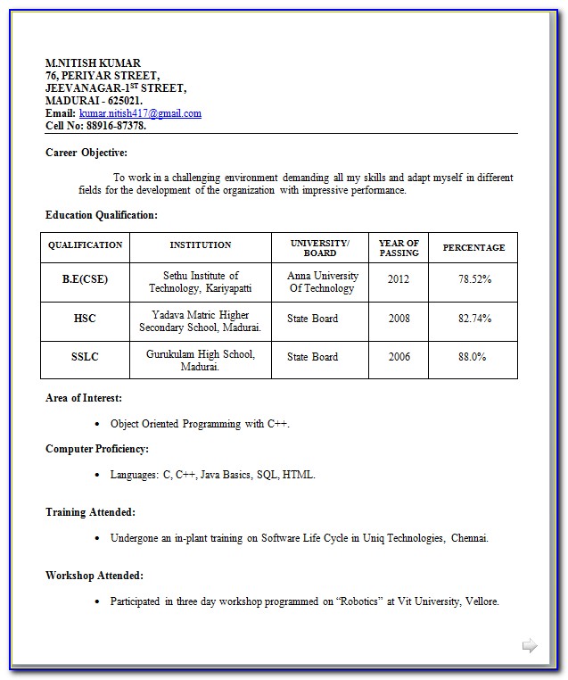 Resume Format For Fresher Free Download In Ms Word 2007